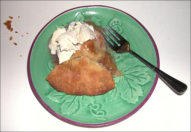 Piece of rhubarb pie eaten by Allen Bukoff, Sunday evening, May 20, 2001